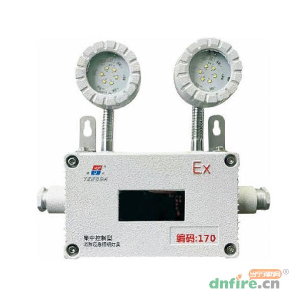 TD-ZFZC-E6W-Ex-TDJ51自带电源集中控制型应急照明灯具（A型）防爆型,腾达防爆,消防应急照明灯
