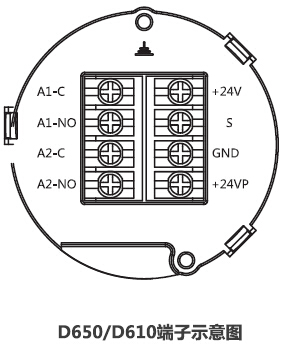 D650和D610气体检测仪接线端子