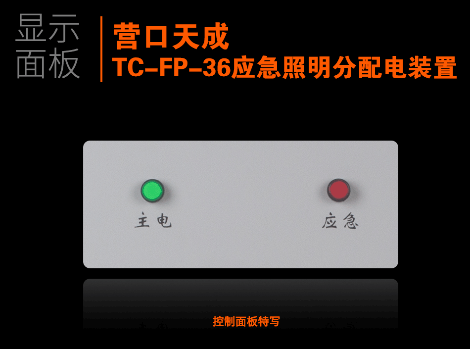 TC-FP-36应急照明分配电装置显示面板