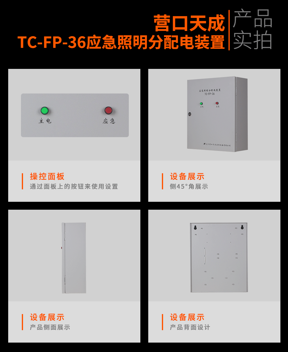 TC-FP-36应急照明分配电装置产品实拍