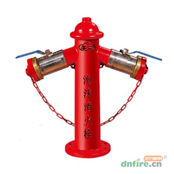 PK100/65X2-1.6消防泡沫开关 泡沫消火栓,天广,泡沫喷雾灭火装置