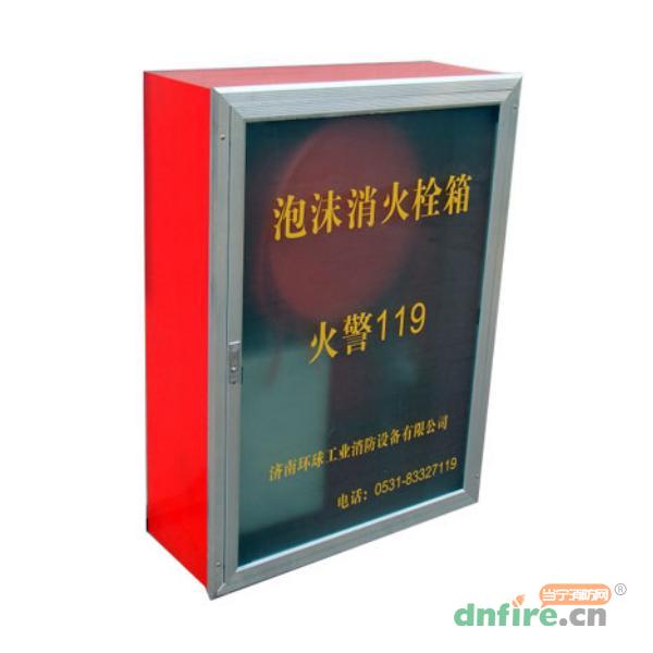 PSG30水成膜泡沫消火栓箱,环球消防,消火栓箱