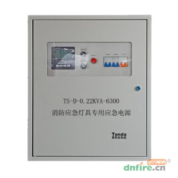 TS-D-0.22KVA-6300消防应急灯具专用应急电源,泰和安,应急照明集中电源