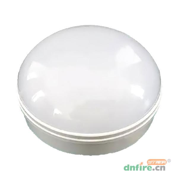 TS-ZFJC-E3W-6617/TS-ZFJC-E5W-6618二线制应急照明灯具,泰和安,消防应急照明灯