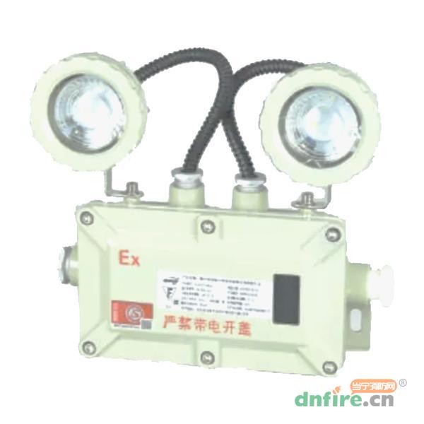 ZC-ZFJC-E5W-Ex防爆壁挂照明双头灯,中川电气,消防应急照明灯