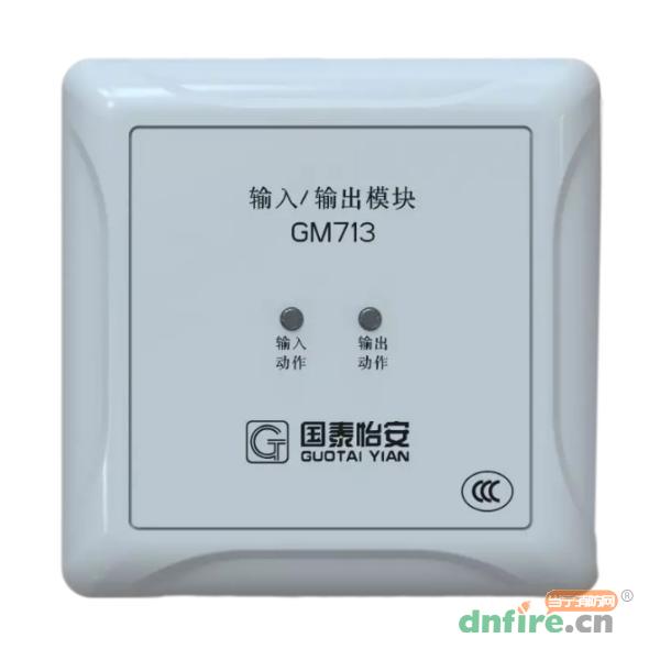 GM713输入/输出模块,国泰怡安,输入输出模块