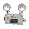 N-ZFJC-E2W8149防水防爆型集电集控双头灯,拿斯特,消防应急照明灯