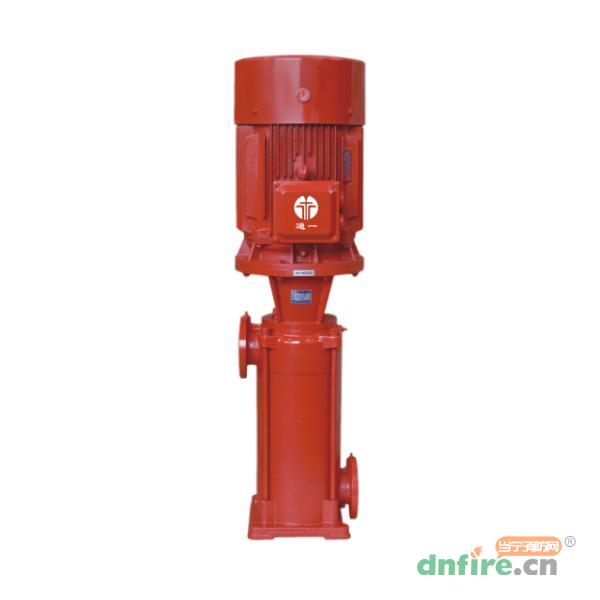 XBD-TYDL系列立式多级消防泵,通一,消防泵