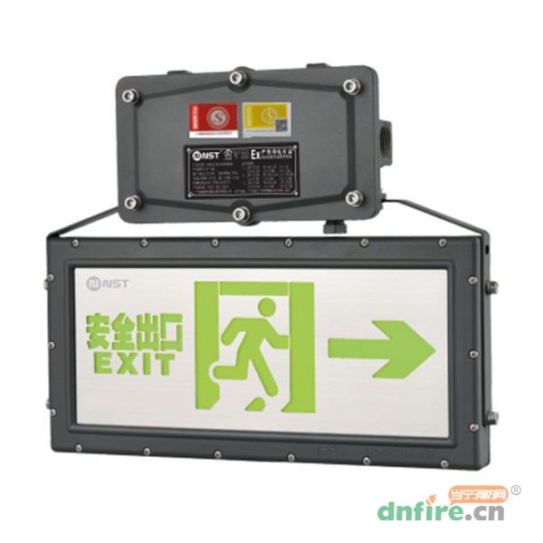 N-BLJC-2LROEⅠ0.5WZGB集电集控IP65双面防水防爆标志灯N8473-A,拿斯特,消防应急疏散指示灯