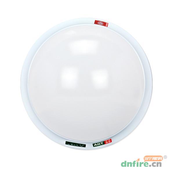 YG-ZFZD-E1W-2G艺光消防应急吸顶灯,艺光,消防应急照明灯