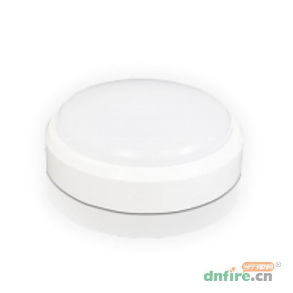 FS-ZFJC-E5W-2835消防应急照明灯具（吸顶灯）,飞尚科技,消防应急照明灯