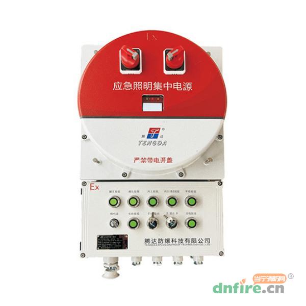 TD-D-0.6KVA-EX-BXM53应急照明集中电源 防爆 A型,腾达防爆,应急照明集中电源