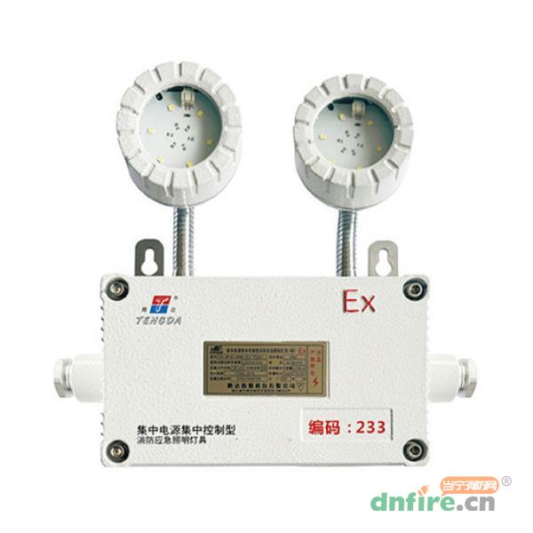 TD-ZFJC-E6W-EX-TDJ51防爆型消防应急照明灯具 集电集控,腾达防爆,消防应急照明灯
