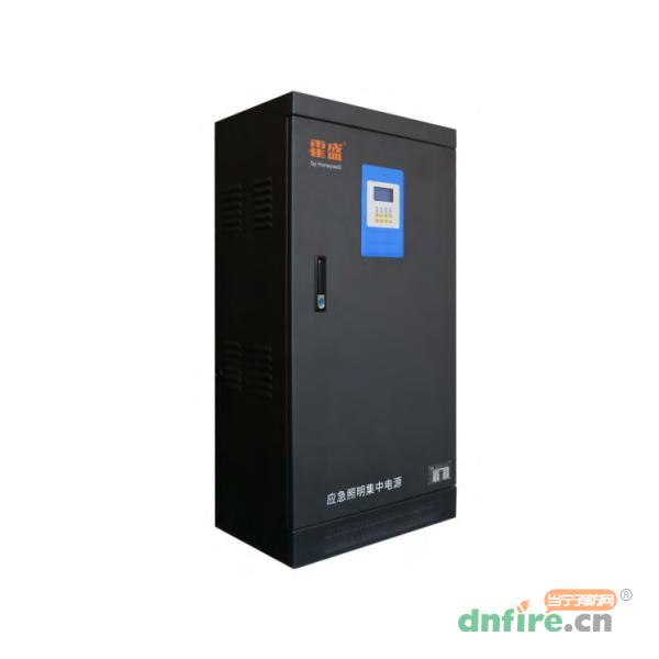 HS-D-1KVA-H8115应急照明集中电源 B型,霍盛,应急照明集中电源