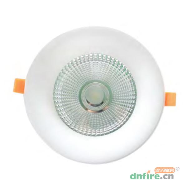HS-ZLJC-E30W-H8192集中电源集中控制型消防应急照明灯具 B型灯,霍盛,消防应急疏散指示灯