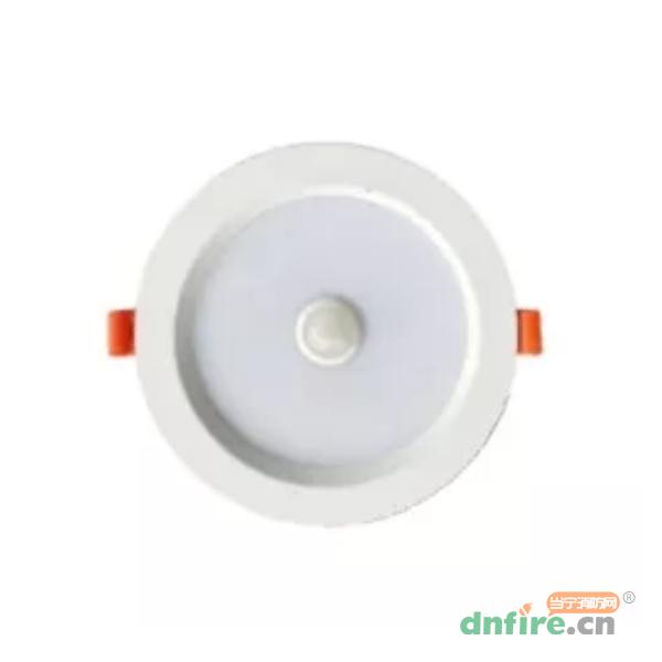 TS-ZFJC-E3W-6623/TS-ZFJC-E5W-6624集中电源集中控制型消防应急照明灯具 嵌顶式,泰和安,消防应急照明灯