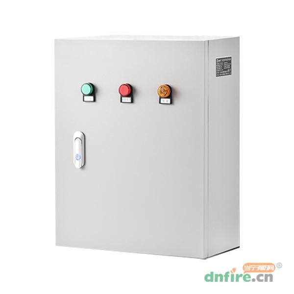 Z-PD-0.3KVA-36（2823）自电集控应急照明配电箱LG2823,乐工光电,应急照明配电箱