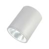 Z-ZFJC-E30W-B1325C集中电源集中控制型消防应急照明灯具LG1323C（B型灯具筒灯),乐工光电,消防应急照明灯