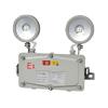 M-ZFZC-E2W6512自电集控防水防爆双头灯M6512,敏华电工,消防应急照明灯