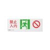 DH-BLJC-1LROEⅡ1W-CB3集中电源集中控制型消防应急标志灯具,大华,消防应急疏散指示灯