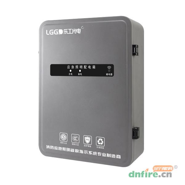 Z-PD-0.3KVA-2824C应急照明配电箱2824C 壁挂,乐工光电,应急照明配电箱