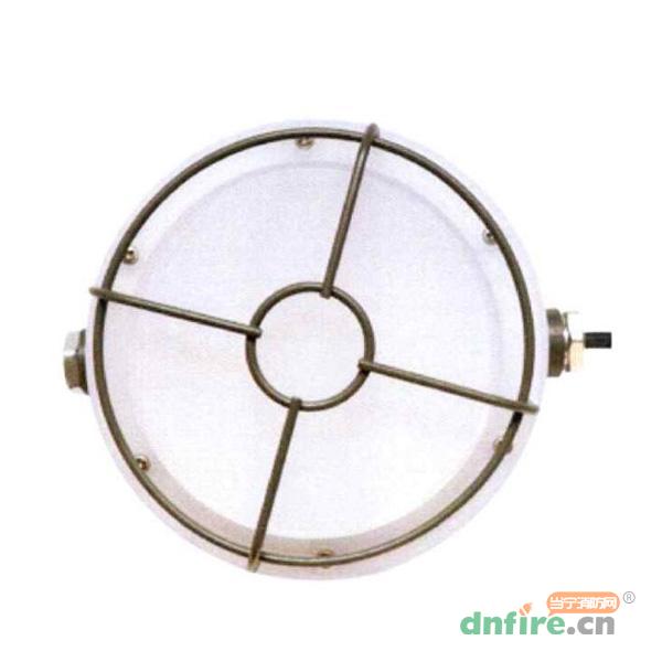 N-ZFZC-E12W-EX8550自带电源集中控制型消防应急照明灯具,拿斯特,消防应急照明灯