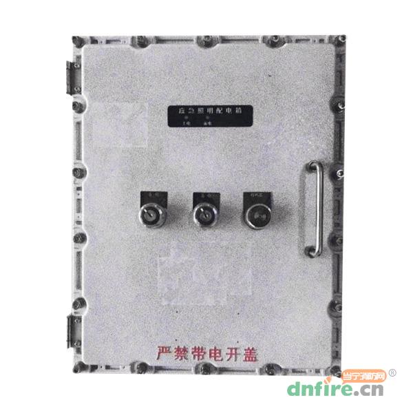 Z-PD-0.6KVA-2825B防爆应急照明配电箱（壁挂）,乐工光电,应急照明配电箱