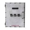 Z-PD-0.6KVA-2825B防爆应急照明配电箱（壁挂）,乐工光电,应急照明配电箱