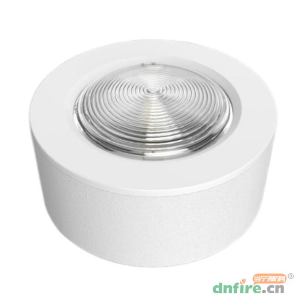 HZ-ZFJC-E1.5W-6120集中电源集中控制型消防应急照明灯具 吸顶,恒生智能,消防应急照明灯