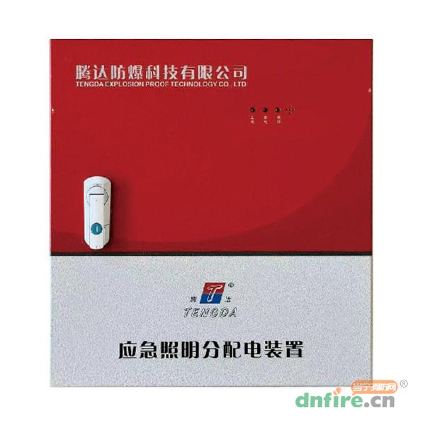 TD-FP-0.3KVA集中电源集中控制型应急照明分配电装置（A型）,腾达防爆,应急照明配电箱