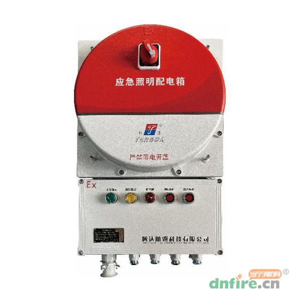 TD-PD-0.3KVA-Ex-BXM53自带电源集中控制型应急照明配电箱(A型),腾达防爆,应急照明配电箱