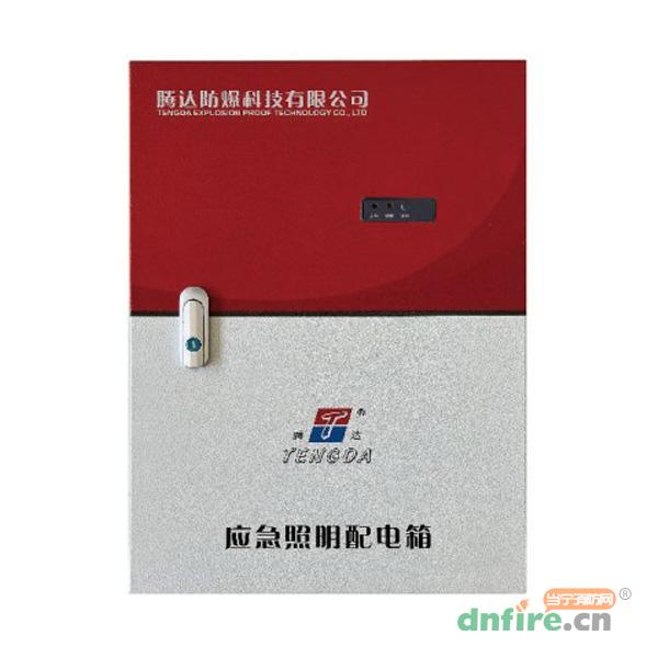 TD-PD-1KVA自带电源集中控制型应急照明配电箱（A型）,腾达防爆,应急照明配电箱