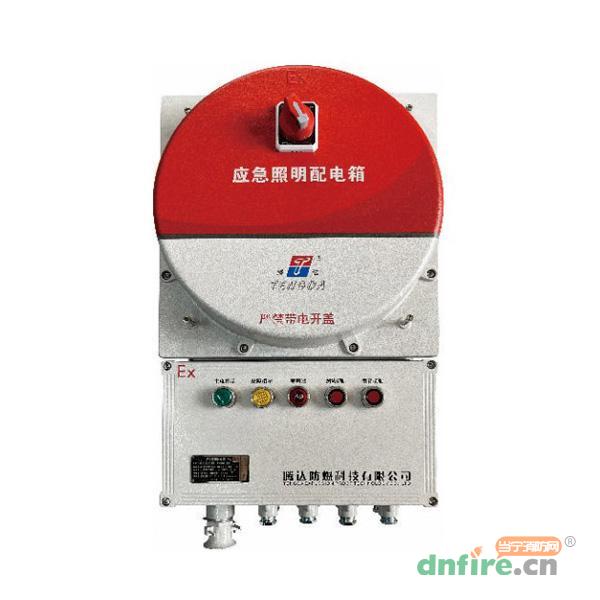 TD-PD-0.6KVA-Ex-BXM53自带电源非集中控制型应急照明配电箱,腾达防爆,应急照明配电箱