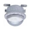 TD-ZFZC-E10W-SF-ccd96自带电源集中控制型应急照明灯具（A型）三防灯,腾达防爆,消防应急照明灯