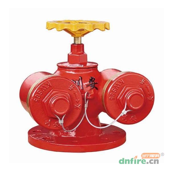 地上多用式水泵接合器,川安消防,消防水泵接合器
