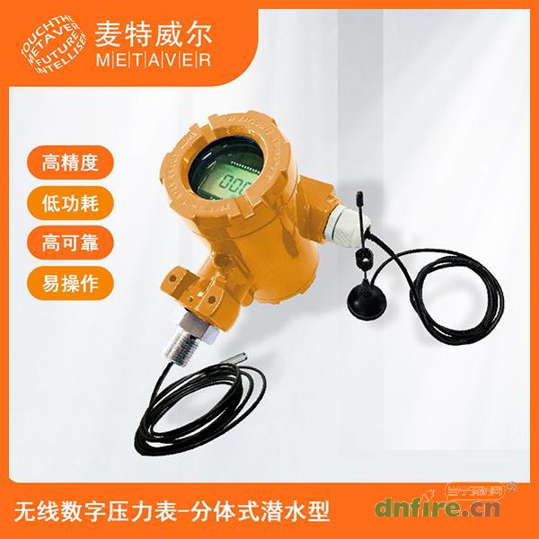 MT90无线数字压力表 分体潜水型,麦特威尔,水压水位监控器