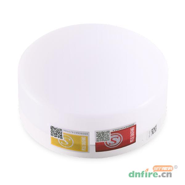 DJ-ZLJC-E4W-05N集中电源集中控制型消防应急照明灯具 明装吸顶,东君,消防应急照明灯