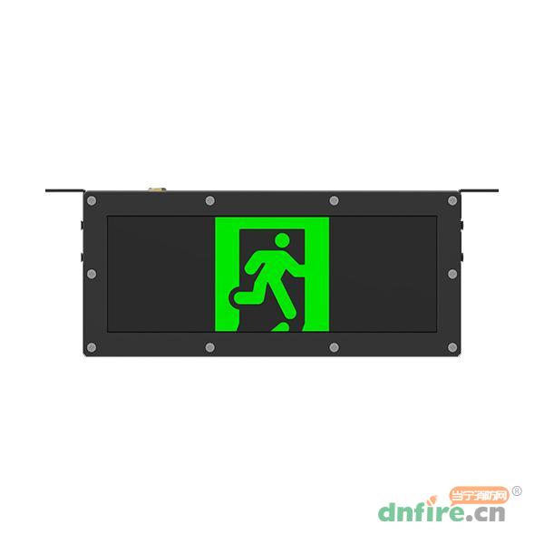 J-BLJC-1OEⅠ0.5W-12D1A集中电源集中控制型消防应急标志灯具,青鸟消防,消防应急疏散指示灯