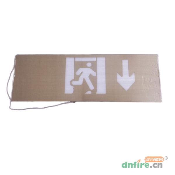 KW-BLZC-1XEⅡ0.3W-906HA不锈钢面板标志灯具（单面后向）