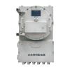 ZC-PD-AC(DC36V/1kVA)-3A应急照明配电箱,中川电气,应急照明配电箱