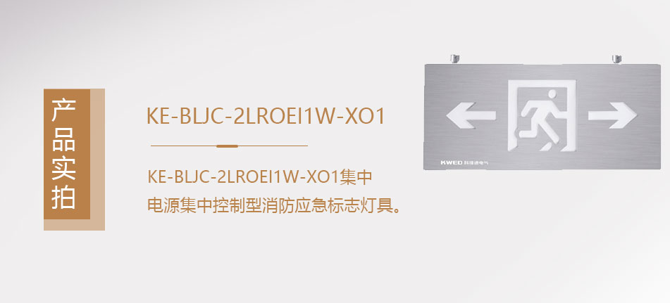 KE-BLJC-2LROEI1W-XO1集中电源集中控制型消防应急照明灯具实拍图