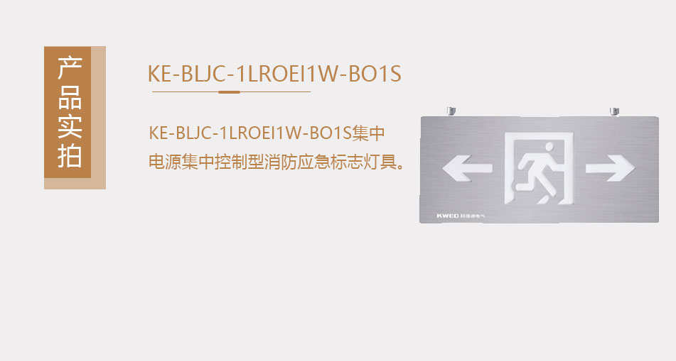 KE-BLJC-1LROEI1W-BO1S集中电源集中控制型消防应急照明灯具（壁挂式）实拍图