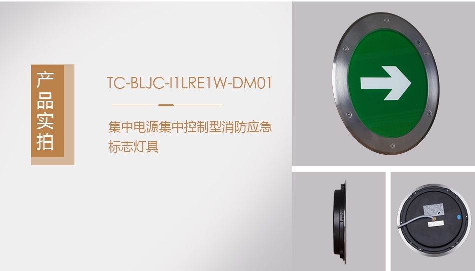 TC-BLJC-I1RE1W-DM01集中电源集中控制型消防应急标志灯具实拍