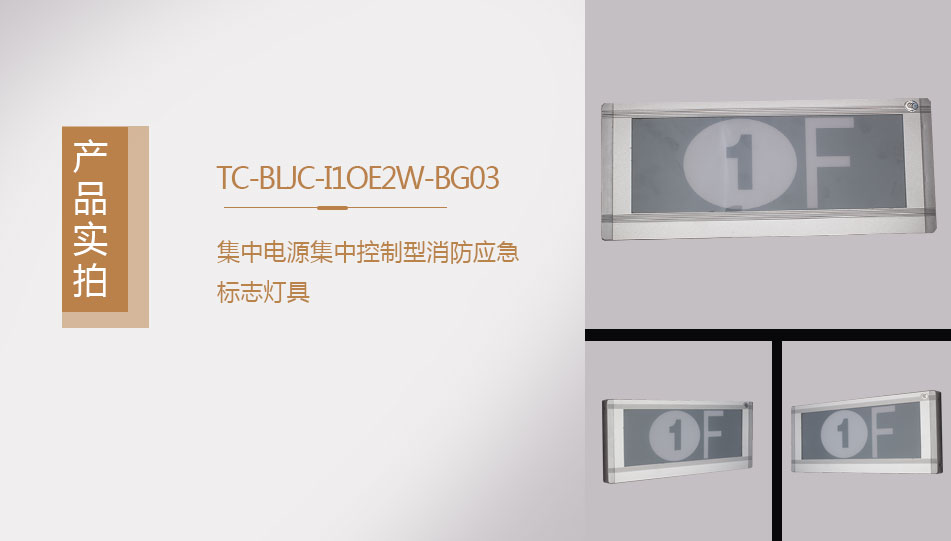 TC-BLJC-I1OE2W-BG03集中电源集中控制型消防应急标志灯具实拍图