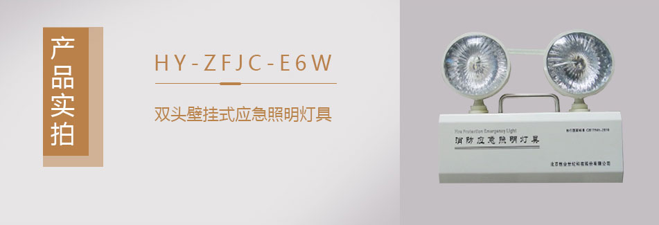 HY-ZFJC-E6W集中电源集中控制型消防应急照明灯具实拍