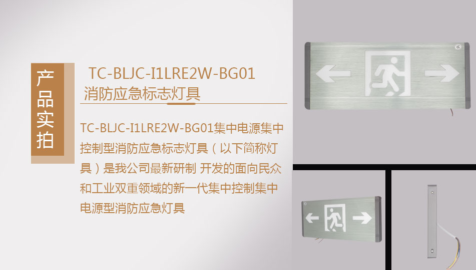 TC-BLJC-I1LRE2W-BG01集中电源集中控制型消防应急标志灯具实拍图