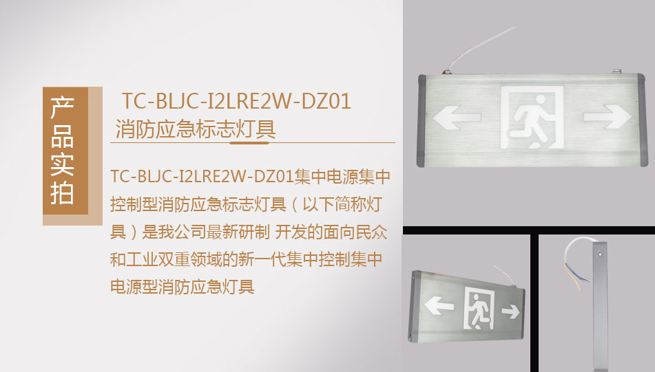 TC-BLJC-I2LRE2W-DZ01集中电源集中控制型消防应急标志灯具