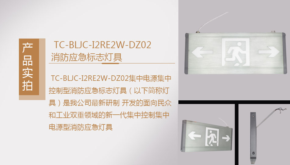 TC-BLJC-I2RE2W-DZ02集中电源集中控制型消防应急标志灯具