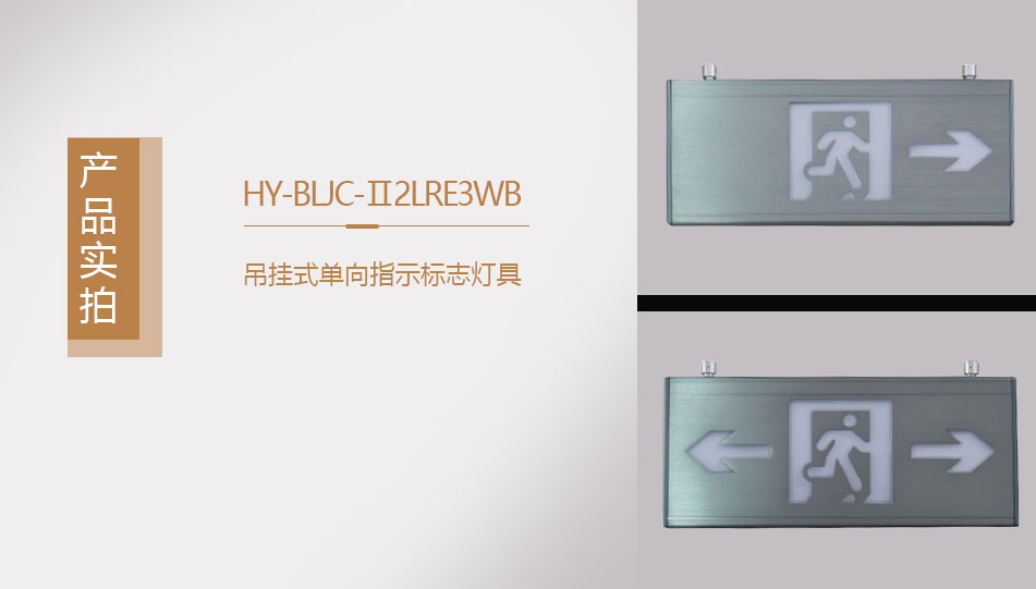 HY-BLJC-Ⅱ2LRE3WB吊挂式单向指示标志灯具实拍