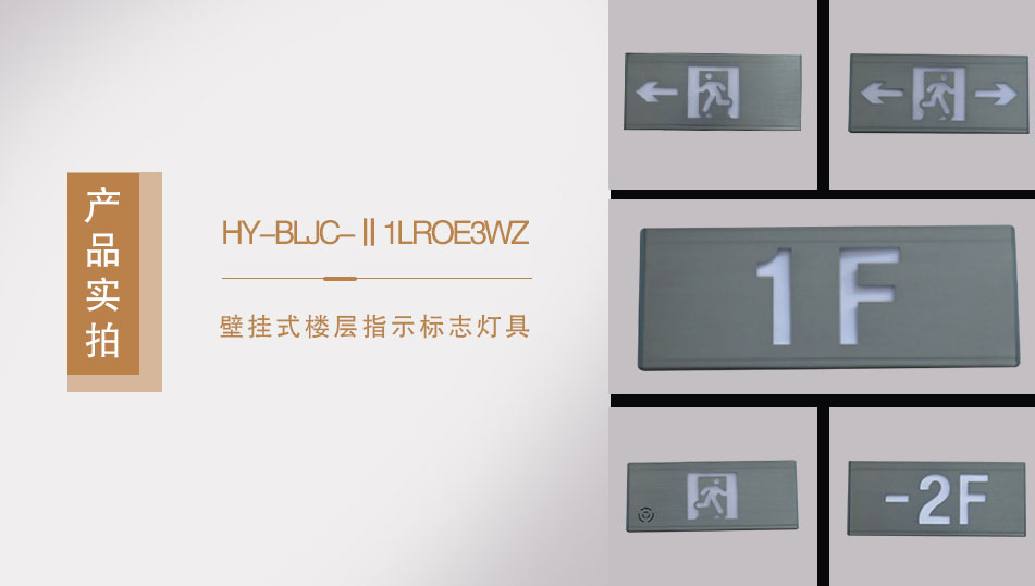 HY-BLJC-Ⅱ1LROE3WZ壁挂式楼层指示标志灯具实拍图